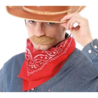 Cowboy Bandana Röd