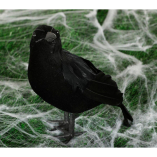 Halloween Korp Svart