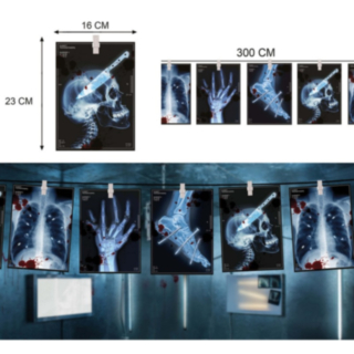 X-Ray Halloween Girlang