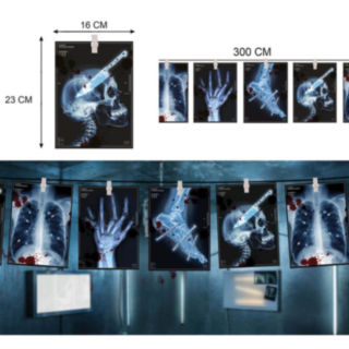 X-Ray Halloween Girlang