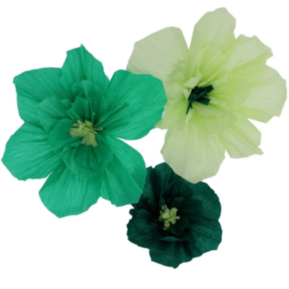 Crepe Pappersblommor Grön Mix