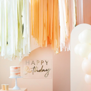DIY Backdrop Laxfärgad
