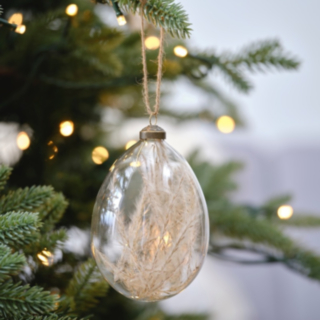 Pampasgräs Glas Julgranskula