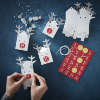 Renar Julkalender DIY Silver