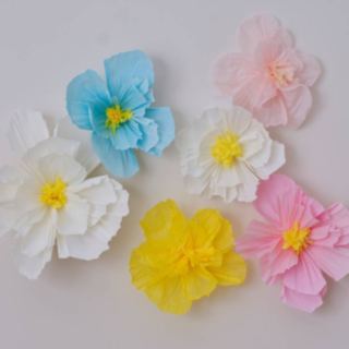 Crepeblommor