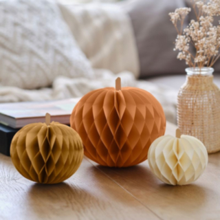 Pumpa Honeycombs