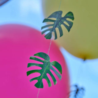 Palmblad Ballongsnöre