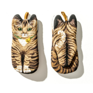Katt Grytlappar Set