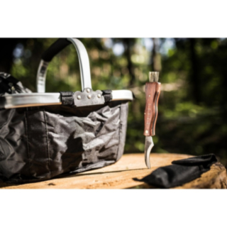 Svampplockning Set