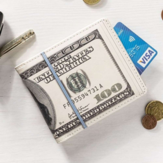 Dollar Plånbok