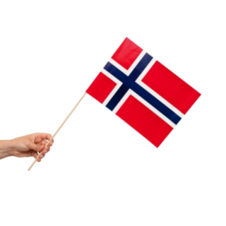 Norge Flagga På Pinne