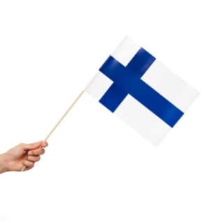 Finland Flagga På Pinne