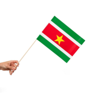 Surinam Flagga På Pinne