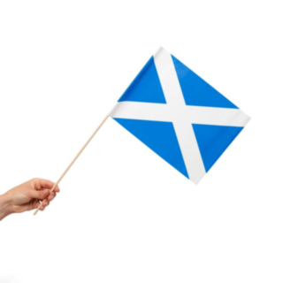 Skottland Flagga På Pinne