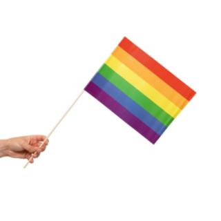Regnbåge Flagga På Pinne