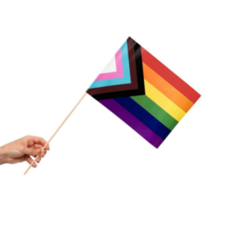 Progress Pride Flagga På Pinne