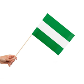 Rotterdam Flagga På Pinne