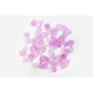 Rosenblad Violett