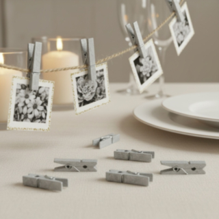Mini Klädnypor Silver
