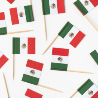 Mexiko Flagga Matpinne