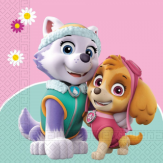 Paw Patrol® Skye & Everest Servetter