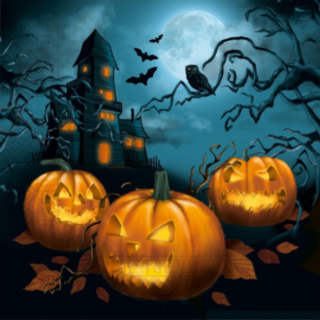 Haunted House Servetter