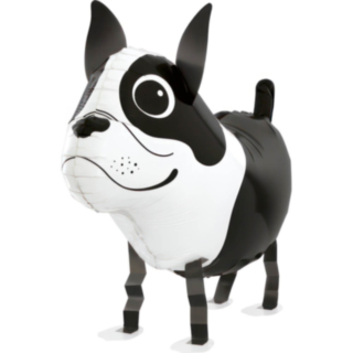 Boston Terrier Folieballong