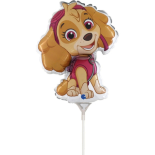 Paw Patrol® Skye Mini Folieballonger