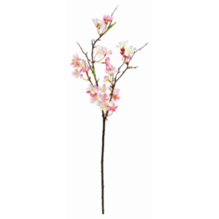 Körsbärskvist Rosa