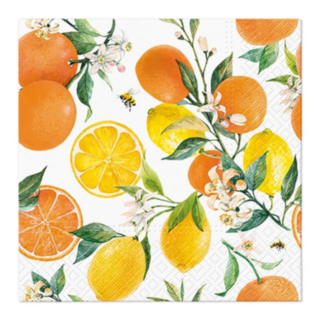 Citrusfrukter Servetter
