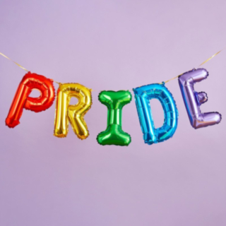 Pride Folieballong Girlang