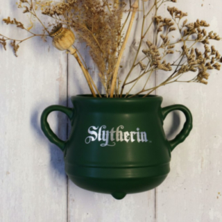 Harry Potter® Slytherin Häxkittel Väggvas
