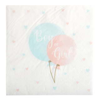 Boy Or Girl Servetter
