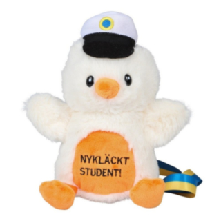 Nykläckt Student! Studentnalle