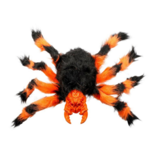 Hårig Spindel Orange/Svart