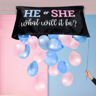 Gender Reveal Ballongset