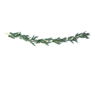 Pilblad Girlang
