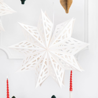 Julstjärna Papper