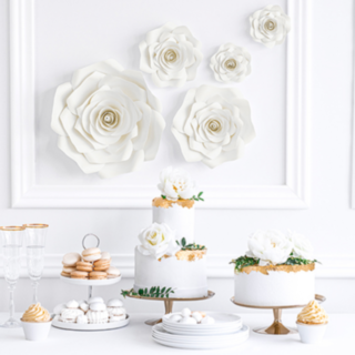 Pappersblommor Vita