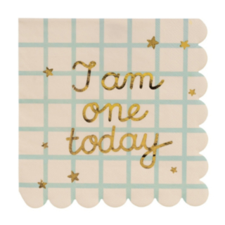 I Am One Today Servetter