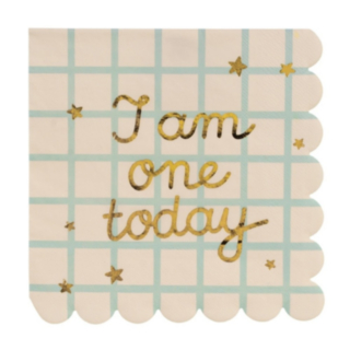 I Am One Today Servetter