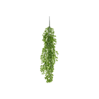 Gröna Blad