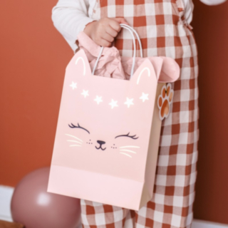 Katt Presentpåse