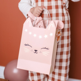 Katt Presentpåse