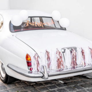 Just Married Set För Bilen
