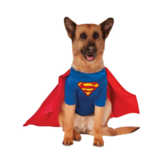 Superman® Hunddräkt