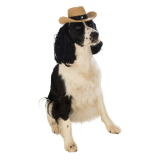 Cowboyhatt Hunddräkt