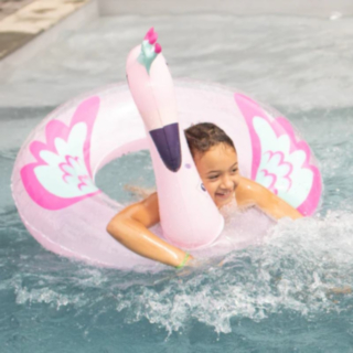 Flamingo Badring