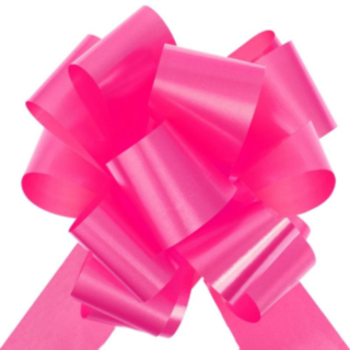 Rosetter Fuchsia