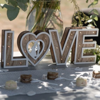 LED-skylt Love